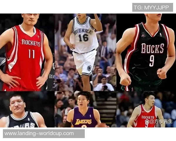 签约篮球明星背后的故事与市场影响力分析